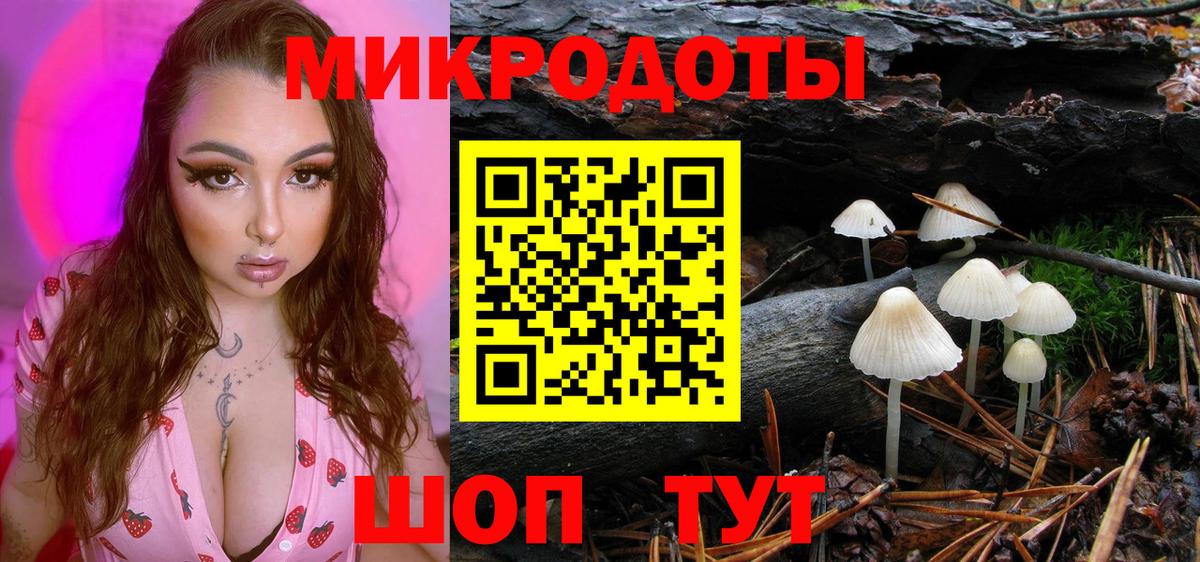 Псилоцибиновые грибы ЛСД  Галлюциногенные грибы GOLDEN TEACHER  Вход с VPN  купить наркотики цена  Тейково 