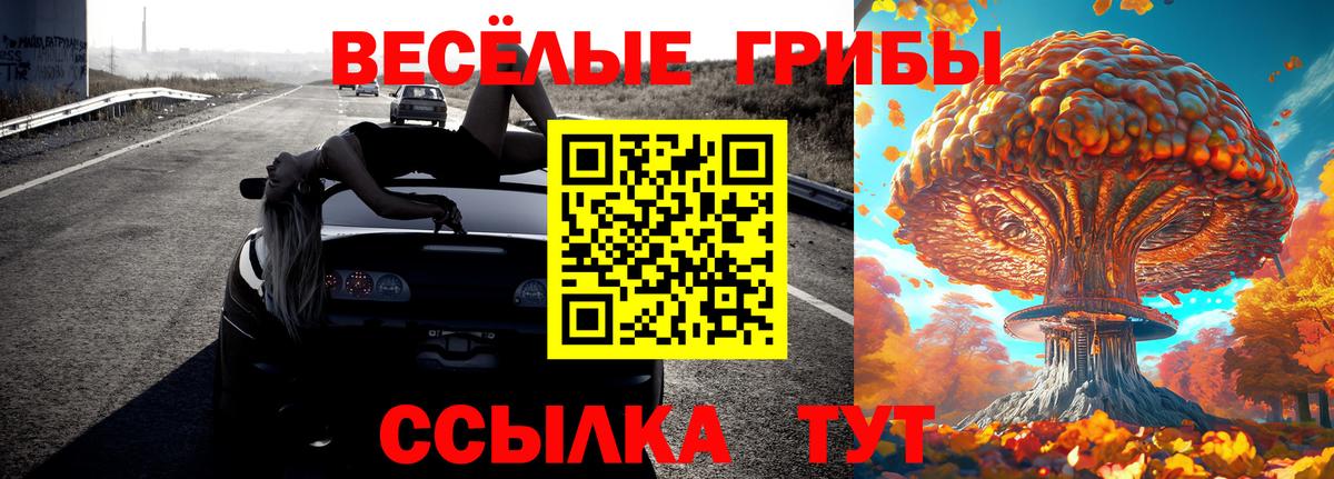 Галлюциногенные грибы ЛСД Тейково